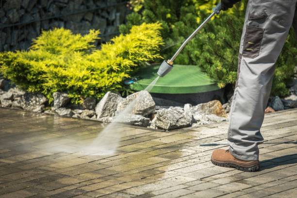 Best Animal Enclosure Cleaning  in Hartsville, TN
